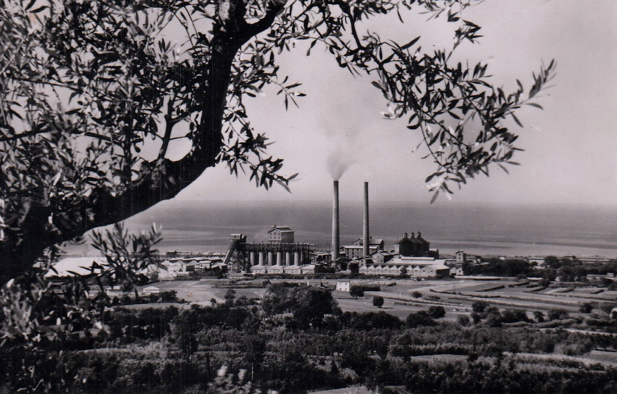 Rosignano Solvay - Stabilimenti Solvay - Veduta panoramica