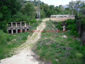 SDC14897