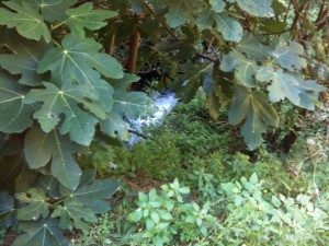 molinosaltodelcieco_06