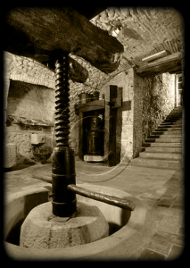 museodelvinoditorgiano09
