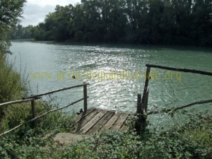 otricoli_0014