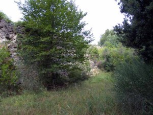 parcolabatteria011