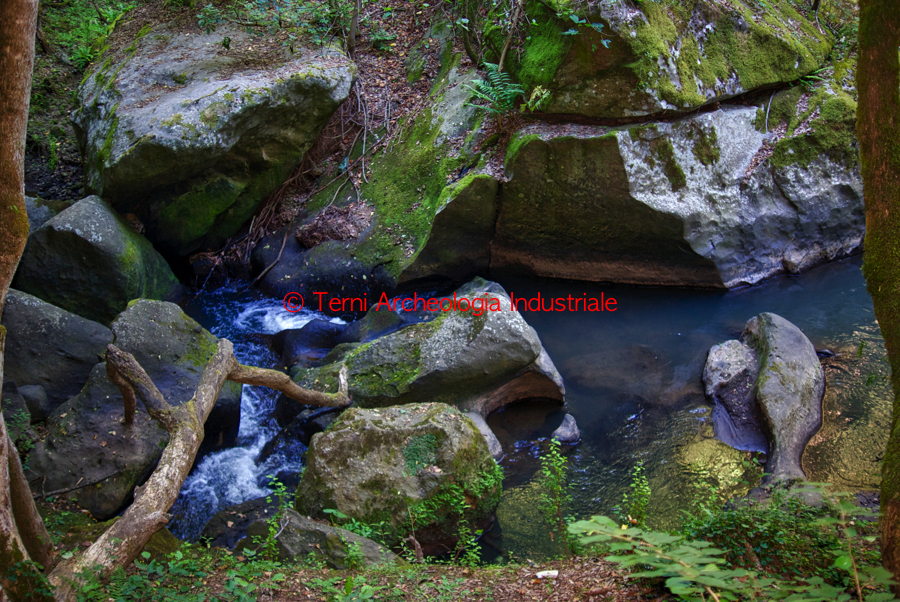 Alveo del torrente Castello