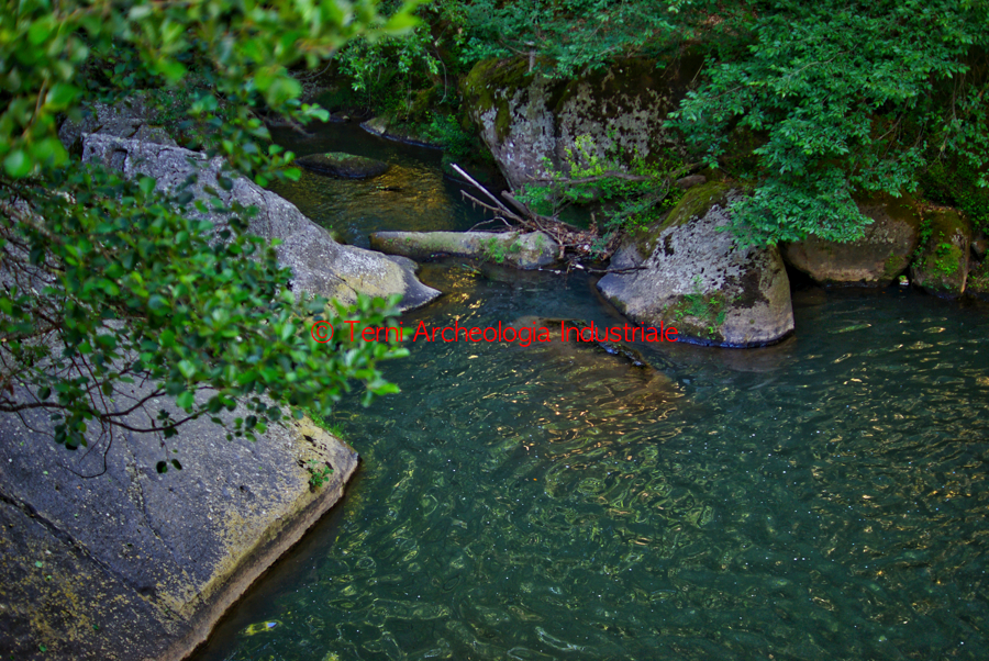 Alveo del torrente Castello