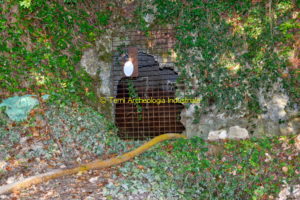 Prima galleria di accesso alla miniera